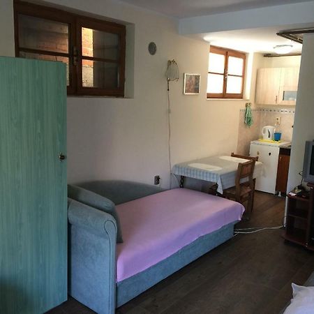 Mini Apartman Daire Belgrad Dış mekan fotoğraf