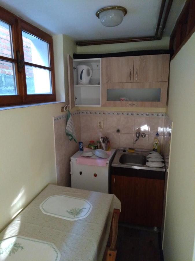 Mini Apartman Daire Belgrad Dış mekan fotoğraf