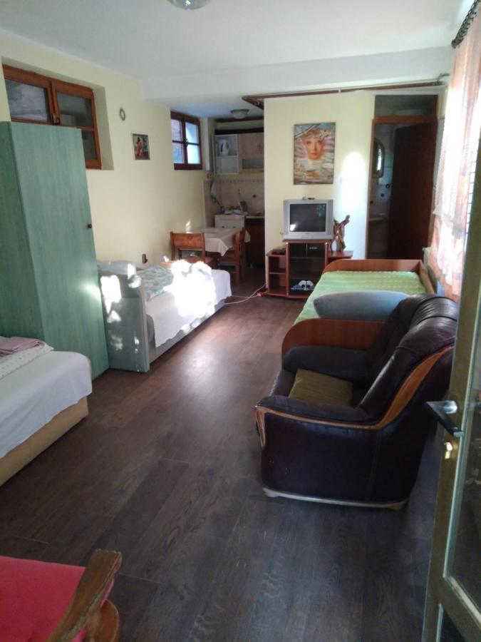 Mini Apartman Daire Belgrad Dış mekan fotoğraf