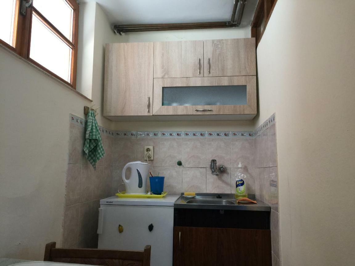 Mini Apartman Daire Belgrad Dış mekan fotoğraf