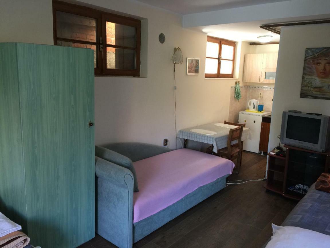 Mini Apartman Daire Belgrad Dış mekan fotoğraf