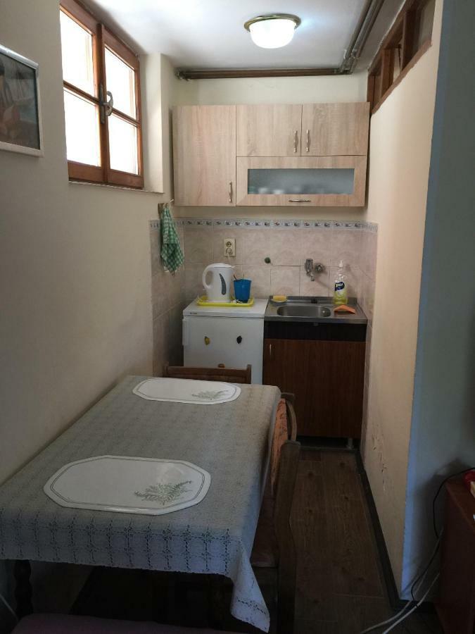 Mini Apartman Daire Belgrad Dış mekan fotoğraf