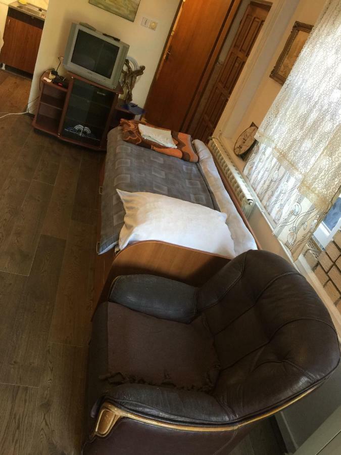 Mini Apartman Daire Belgrad Dış mekan fotoğraf